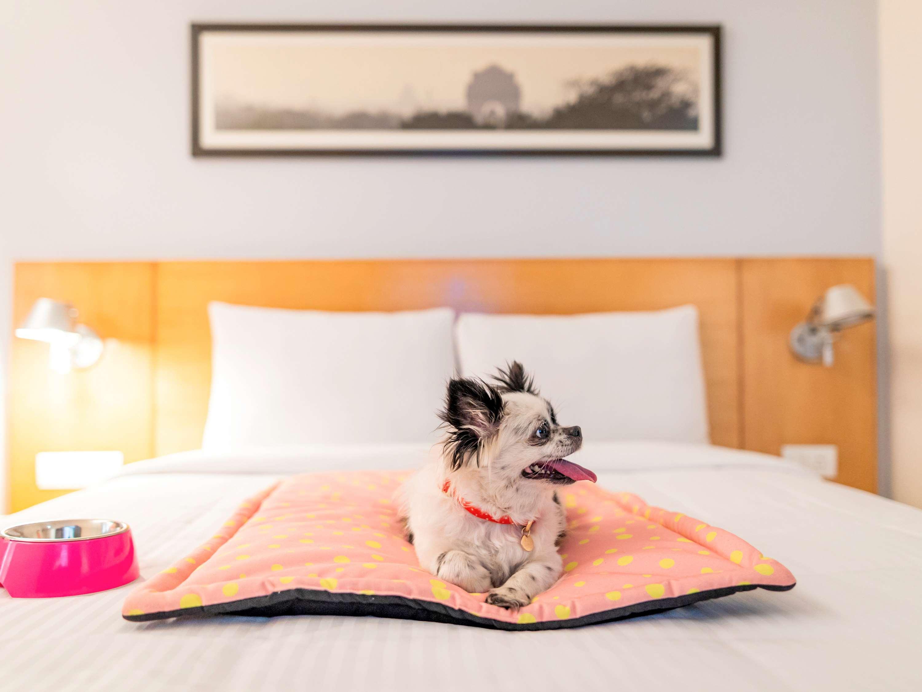 Ibis Kochi City Centre - An Accor Brand Dış mekan fotoğraf