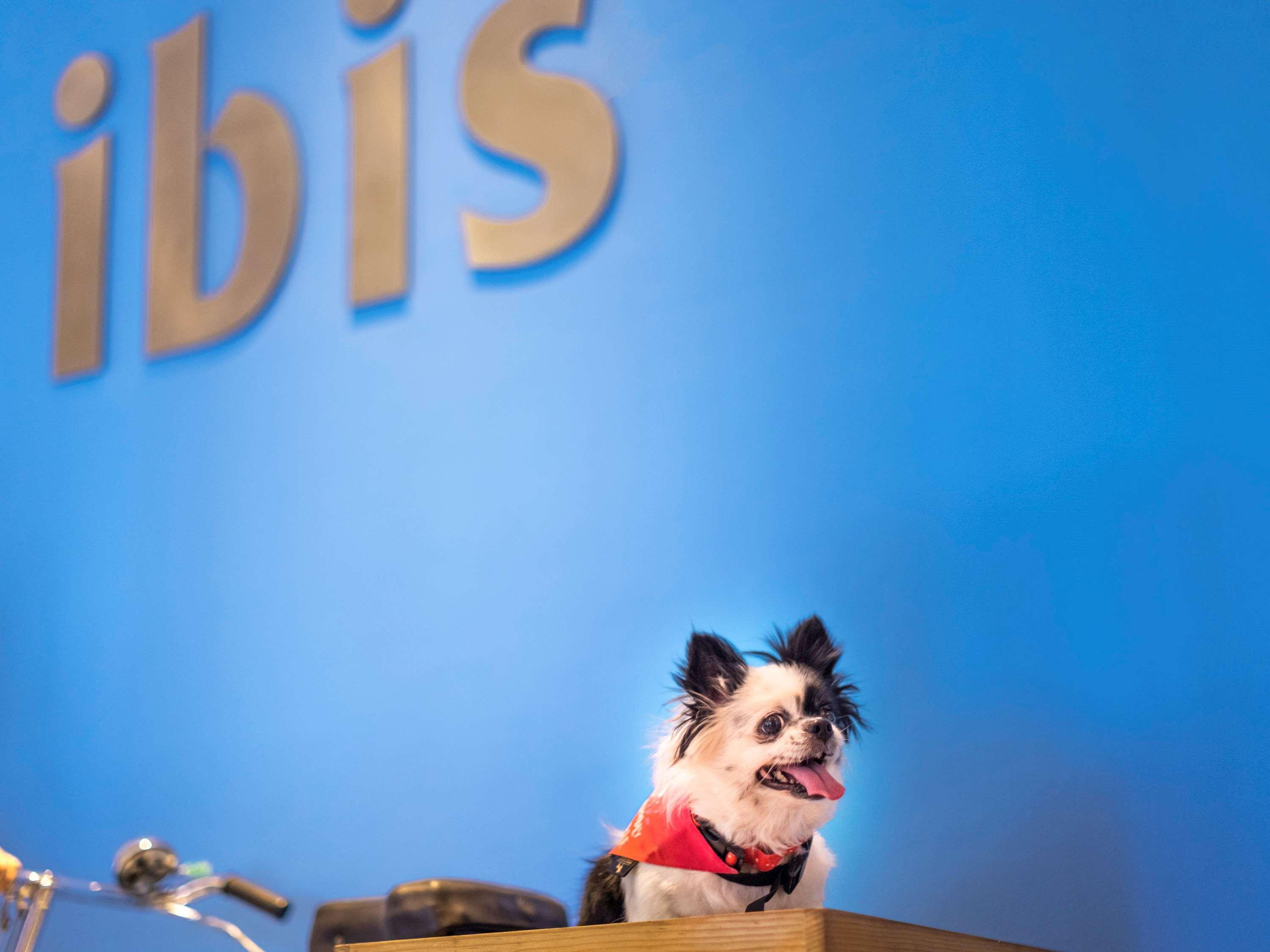 Ibis Kochi City Centre - An Accor Brand Dış mekan fotoğraf