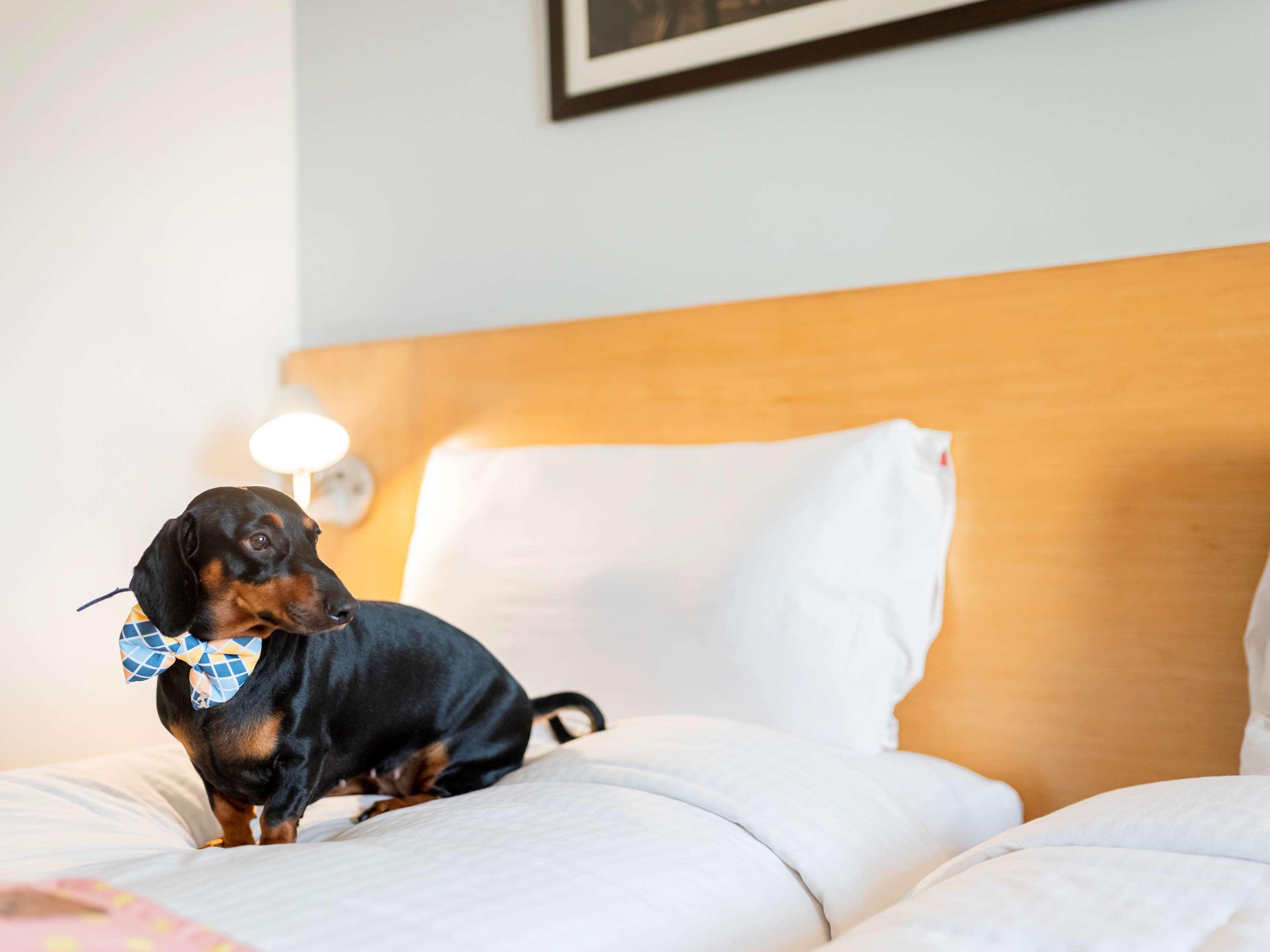 Ibis Kochi City Centre - An Accor Brand Dış mekan fotoğraf